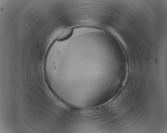 X0000067841291200604271610