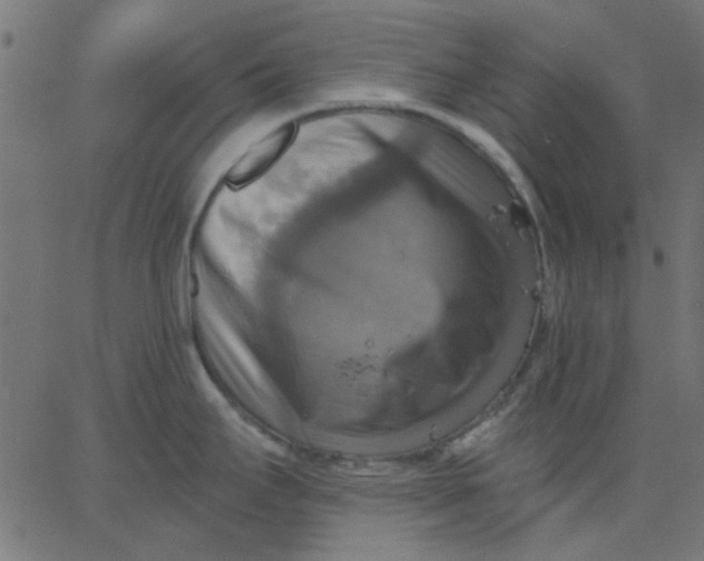 X0000067841295200604271610