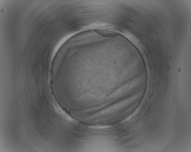 X0000067841296200604271610