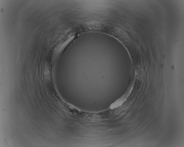 X0000067841298200604271609