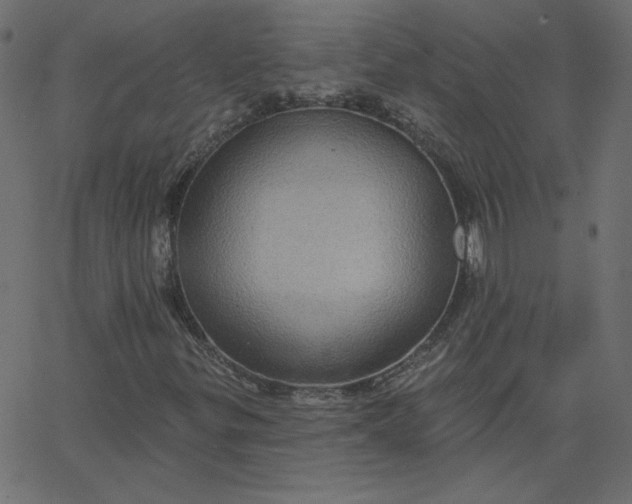 X0000067841299200604271609