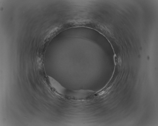 X0000067841300200604271609