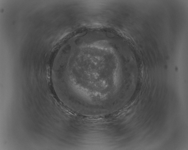 X0000067841301200604271609