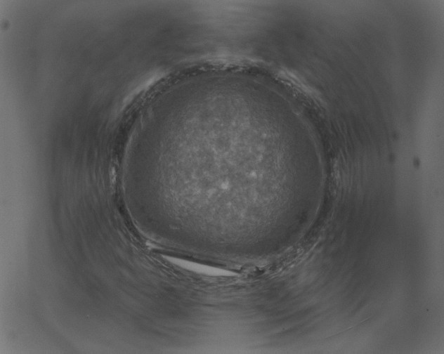 X0000067841302200604271609