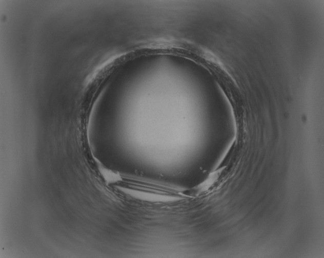 X0000067841304200604271609