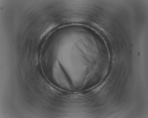 X0000067841306200604271609