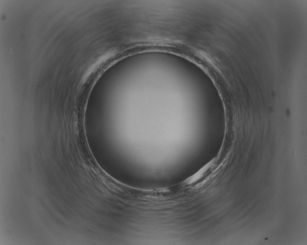 X0000067841307200604271609