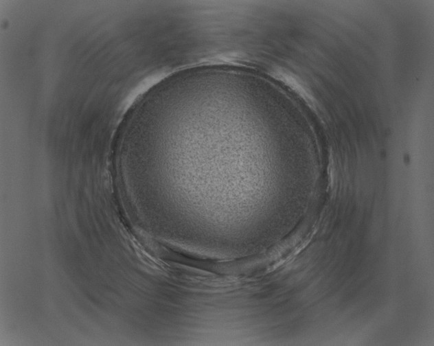 X0000067841308200604271609