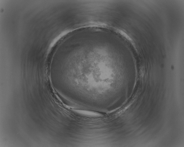 X0000067841310200604271609