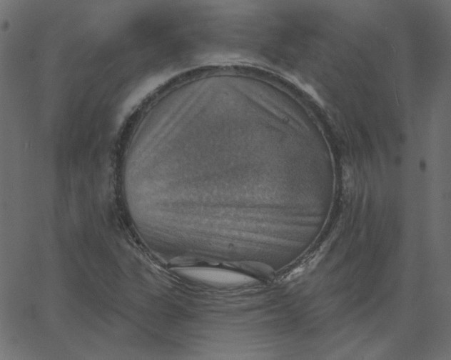 X0000067841311200604271609