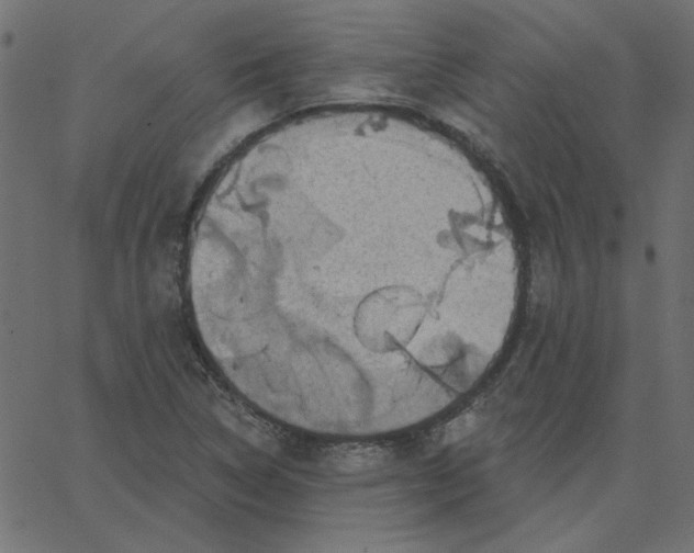 X0000067841314200604271610