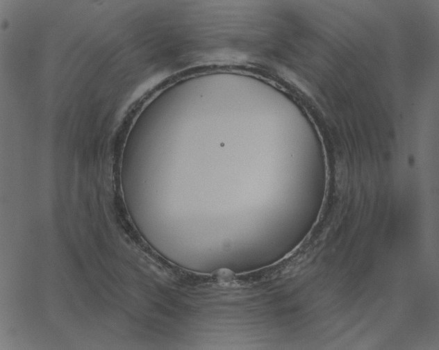 X0000067841315200604271610