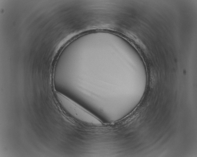 X0000067841316200604271610