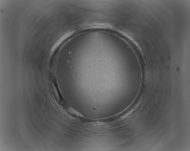 X0000067841317200604271610