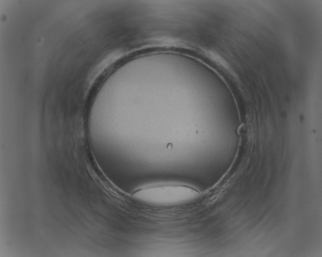 X0000067841318200604271610