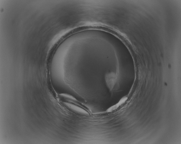 X0000067841319200604271610