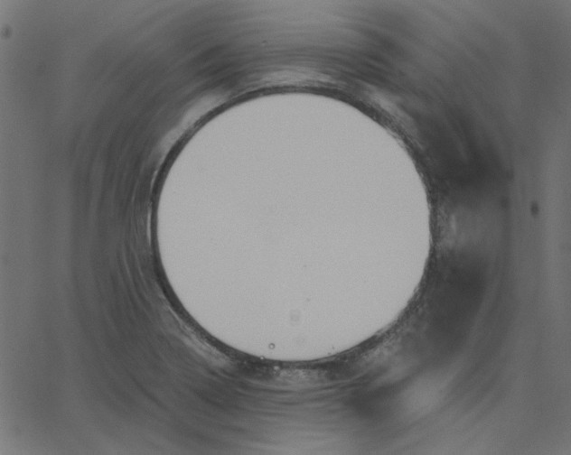 X0000067841322200604271610