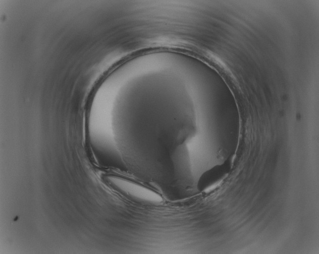 X0000067841323200604271610