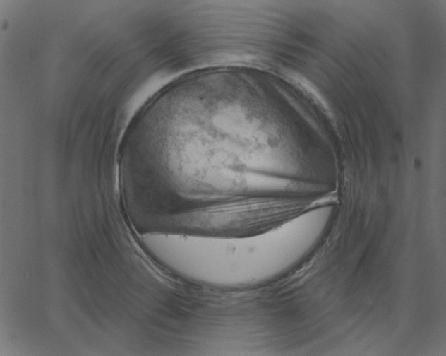 X0000067841324200604271610