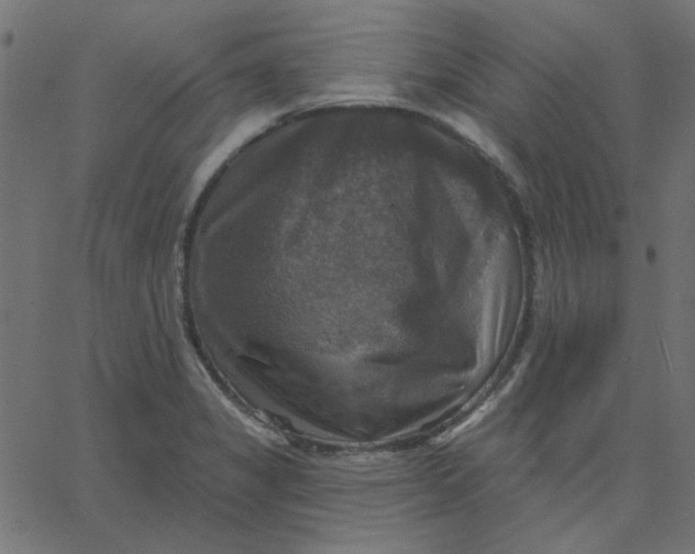 X0000067841325200604271610