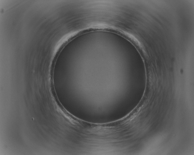 X0000067841327200604271610