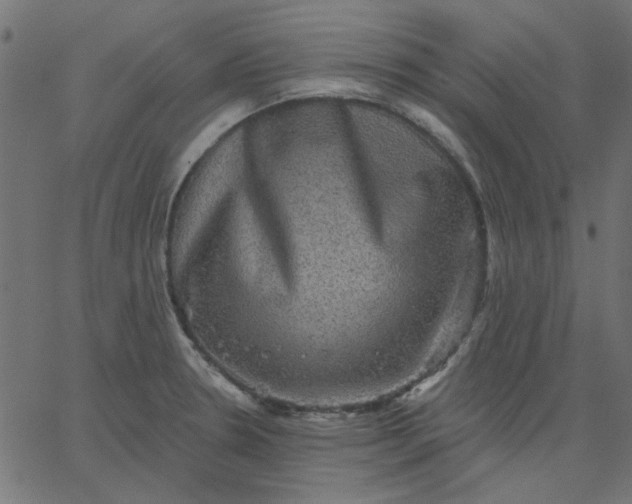 X0000067841330200604271610