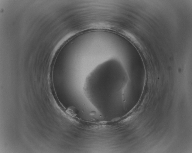 X0000067841331200604271610