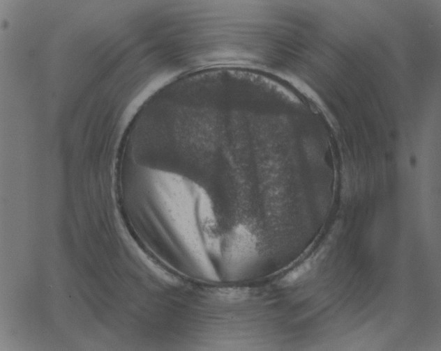 X0000067841333200604271610