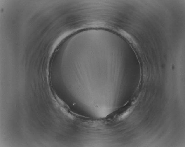 X0000067841334200604271610