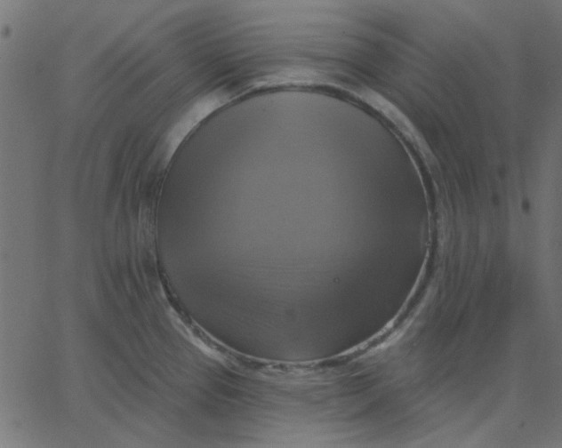 X0000067841337200604271610