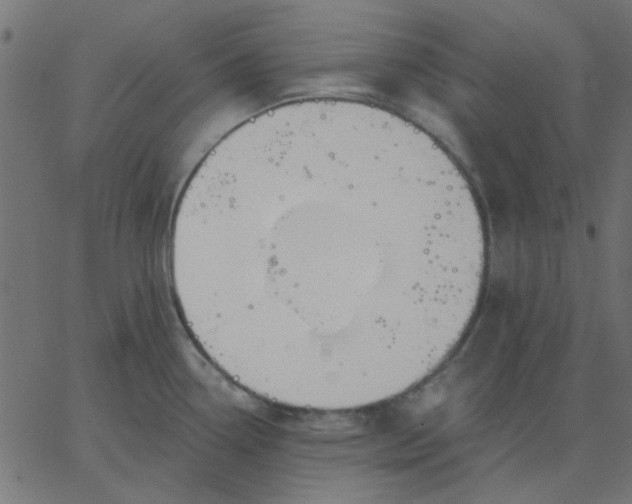 X0000067841338200604271610