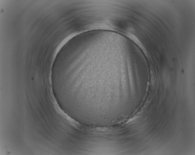 X0000067841339200604271610