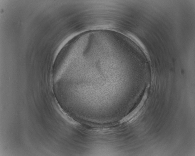 X0000067841340200604271610