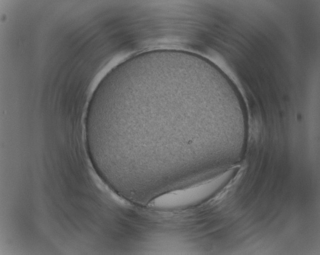 X0000067841341200604271610