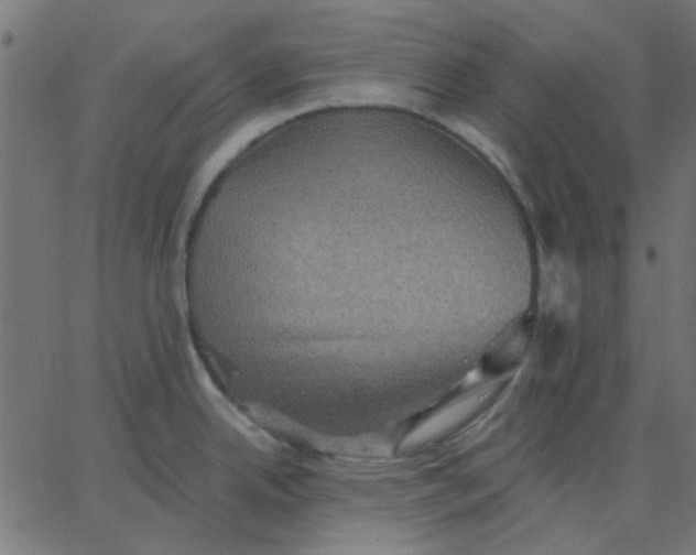 X0000067841342200604271610