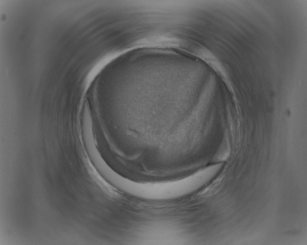 X0000067841344200604271610