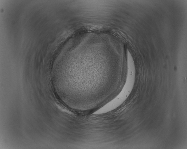 X0000067841345200604271609