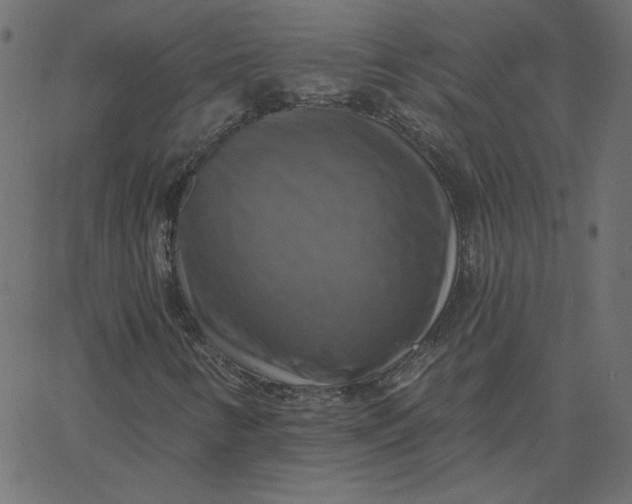 X0000067841346200604271609