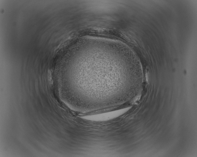 X0000067841347200604271609