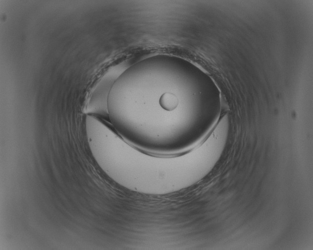 X0000067841348200604271609