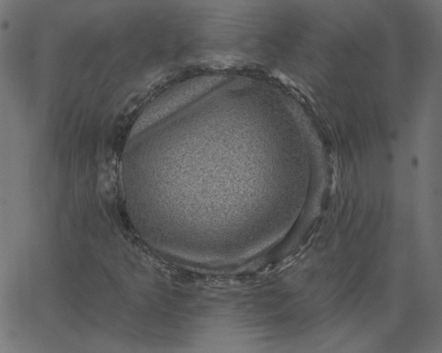 X0000067841349200604271609