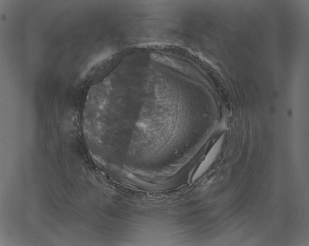 X0000067841351200604271609