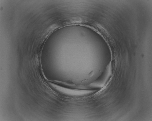 X0000067841353200604271609