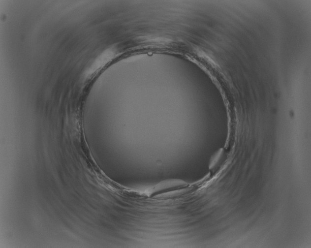 X0000067841354200604271609