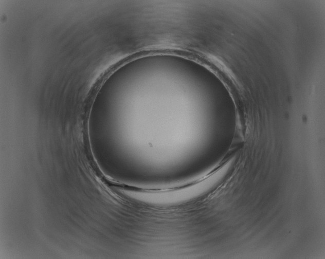 X0000067841356200604271609