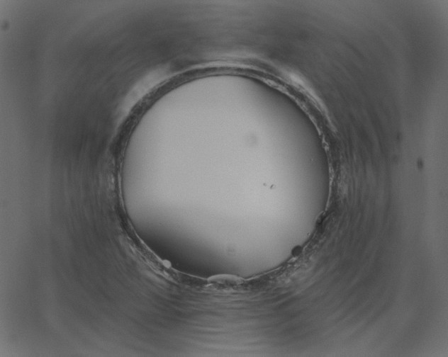 X0000067841360200604271609