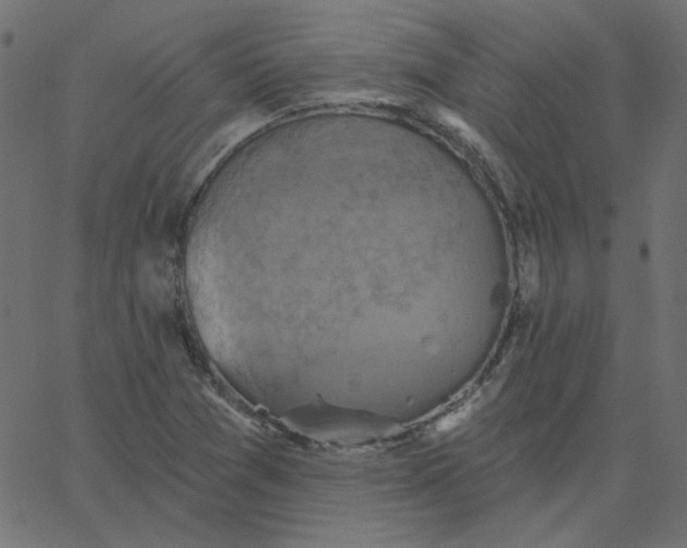 X0000067841361200604271609