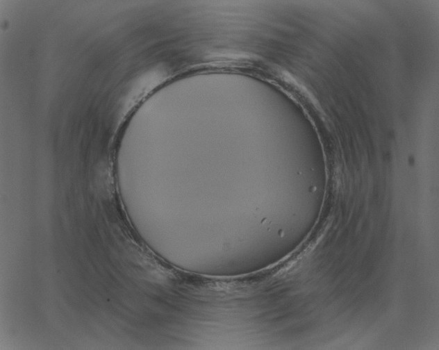 X0000067841362200604271609