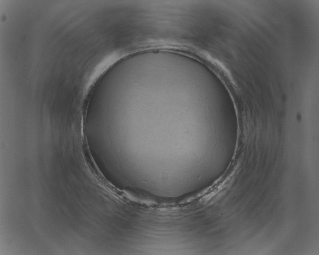 X0000067841365200604271609