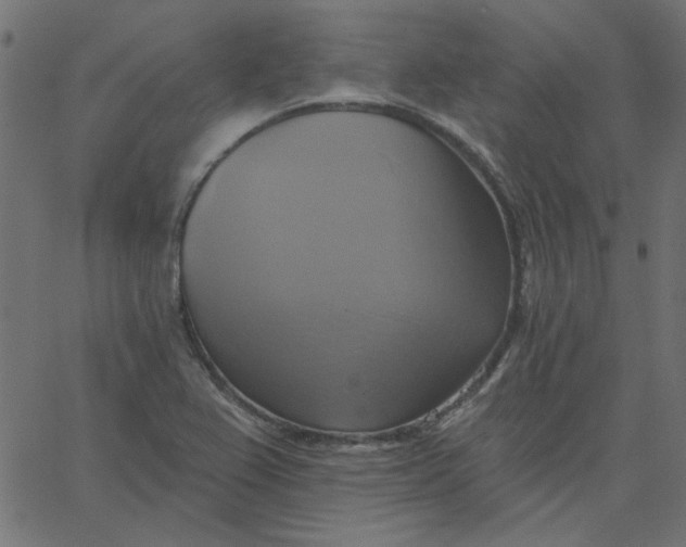 X0000067841367200604271609